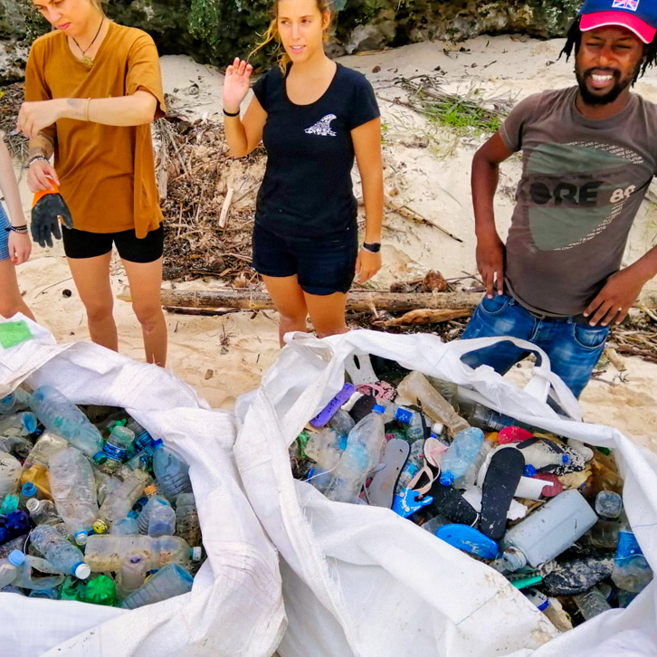 Lees meer over het artikel Dorp & strand schoonmaak project