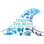Under The Wave