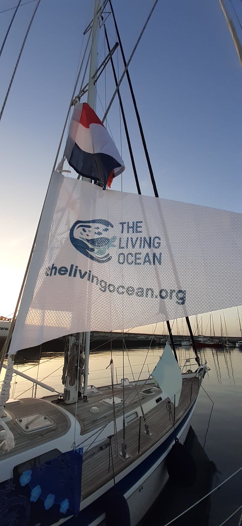 Read more about the article Sailing for Marine Conservation in the Caribbean