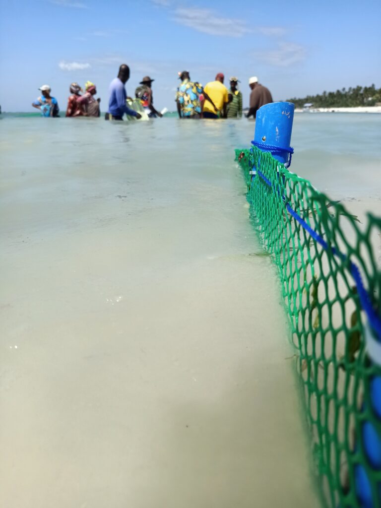 Livelihood Fisherman