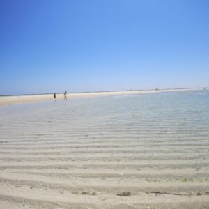 beach zanzibar ocean