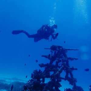 coral reef restauration