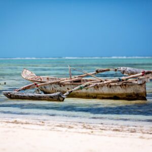 2023 Feb TLO Zanzibar
