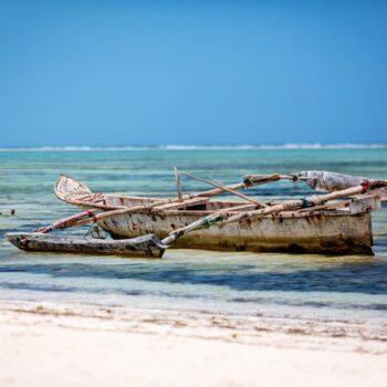 2023 Feb TLO Zanzibar