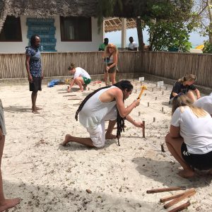 turtle hatchery world unite