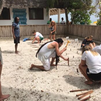 turtle hatchery world unite