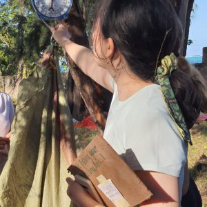 weight trash collected