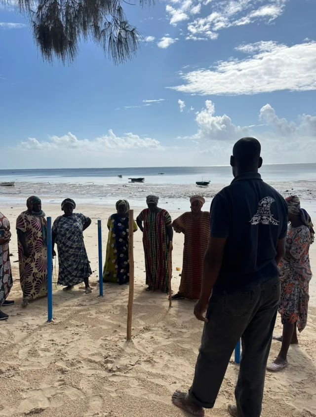 Our sea cucumber farming project in Zanzibar has reached an exciting milestone! 🌊🥒

With the support of @underthewavezanzibar , the first group of local women has begun building the sea cucumber farms by hand.

From measuring and cutting the structural pipes to precisely mapping out the dimensions of the ocean pens, to attaching a durable mesh to the frame. This mesh allows fresh seawater and nutrients to flow through while safely containing the sea cucumbers inside.

Why sea cucumbers & why this matters?

Sea cucumbers play a vital role in marine ecosystems — often described as the “vacuum cleaners” of the ocean. They naturally filter sediment and help maintain healthy seagrass environments.

But beyond the ecological impact, the true ripple effect of this project is social.

If successful, these 8 trailblazing women will pass on their knowledge to other young women in the community, creating a cycle of learning, opportunity, and financial independence rooted in local ownership. 🩵💪🏽

A heartfelt thank you to @afasfoundation for making this pilot project possible. We’re incredibly proud to see this vision becoming reality. 💙

#womensempowerment #marineconservation #zanzibar #sustainableaquaculture seacucumberfarming