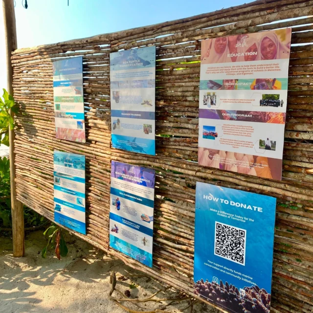✨ A special corner at Under The Wave Zanzibar! 🌊🐠

Here, our guests can learn more about our conservation projects and the positive impact we are creating together with our local community in Zanzibar. 💙
Are you travelling to Zanzibar and would like to learn more about the work of @under_the_wave_zanzibar ? Get in touch with us at 
info@underthewave-zanzibar.com and discover the amazing projects happening beneath the surface and within our community. 🌱🌊

And if you believe in what we do, a small donation is always greatly appreciated. Every contribution, big or small, helps us continue protecting our ocean and supporting our local community. 🙏💙

#UnderTheWave #Zanzibar #OceanConservation #MarineConservation #CoralConservation #CommunityImpact #ProtectOurOceans #ZanzibarProjects #SaveOurReefs