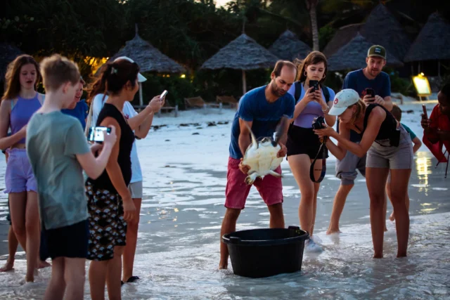 🌊 Back to Zanzibar this week! 🇹🇿💙

Every year, I feel privileged to return to Zanzibar to reconnect with our amazing Under The Wave (UTW) team and see how our projects are making a difference.

This year is extra special because Under The Wave is celebrating 6 years! 🎉 Six years of passion, learning, challenges, and working together to protect the ocean. I can’t wait to celebrate this milestone with the team and reflect on how far we’ve come.

I’m incredibly proud of our local team and the dedication they bring to their work every day. From coral restoration and sea cucumber farming to marine education and ocean conservation, they are making a real difference for the ocean and the people who depend on it. 🪸🐢🌱

Six years ago, we started with a vision. Today, we continue building on that vision together, and there is still so much more to do!

Looking forward to seeing everyone again and celebrating our journey together. See you soon, Zanzibar! 🌴🌊💙

#UnderTheWave #TheLivingOcean #Zanzibar #6Years #OceanConservation #CoralRestoration #MarineConservation